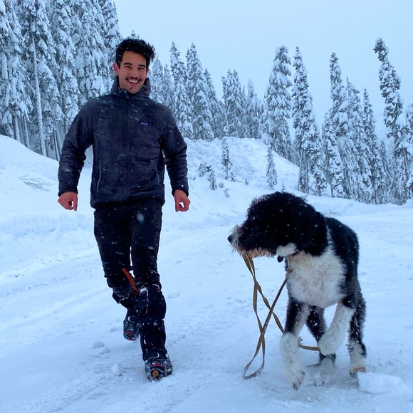 Meet your Posher, Maverick - Picture 1 of 1